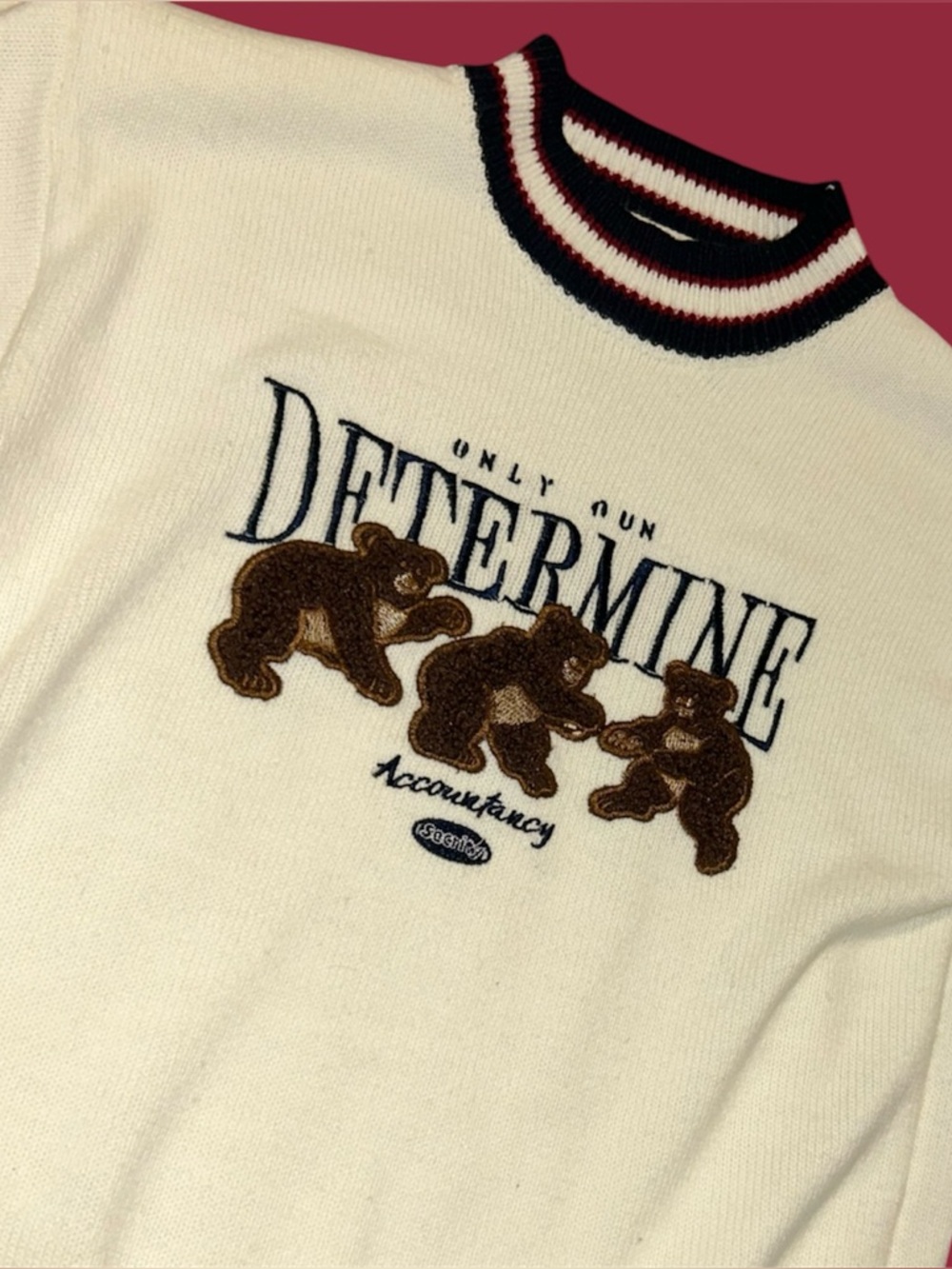 Vintage Aelfric Eden Brown Bear Determine Embroidered Sweater